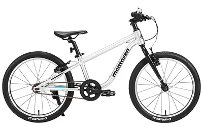Детский велосипед Montasen F08 (серебристый) F08-20SL