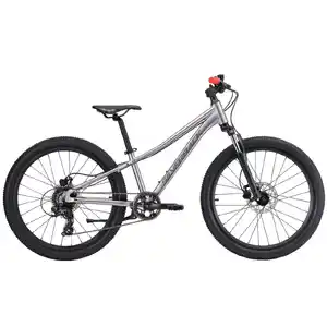 Велосипед Silverback SPYKE 24 SE GLOSS MOONDUST METALLIC GREY/GLOSS RED