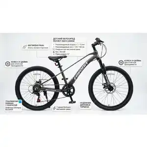 Велосипед Favorit ONYX 24 (12, серый)