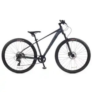 Велосипед Totem CRUISER-29HDA (16, серый) CRU29HD16GR-ALC