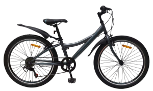 Велосипед Favorit Discovery 24VS DIS24V11GR