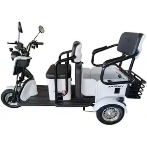 Электроскутер Shtenli Model 37 трехколесный 2в1 LI-ION (60v20A)