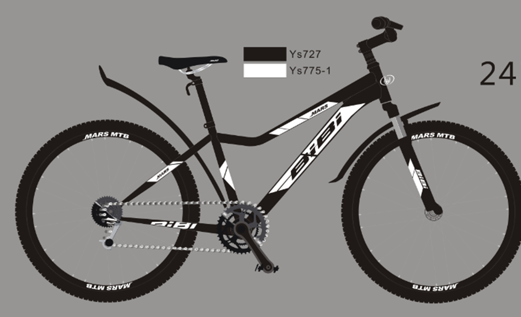 Велосипед BiBi MARS 24 (черный/белый, 2021)