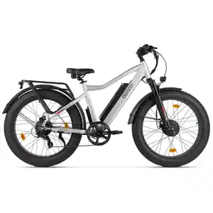 Электровелосипед Eltreco BigCat Dual Next PRO (серебристый матовый)