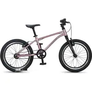 Детский велосипед Maxiscoo Stellar 18 2026 MSC-ST1853 (розовый)