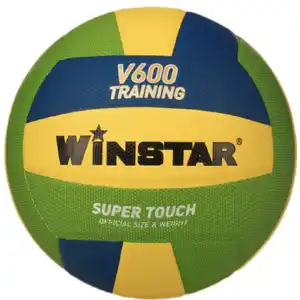 Волейбольный мяч Winstar WN11005