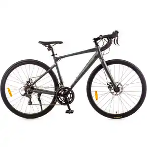 Велосипед Favorit PEGASUS 700C MDA (19, черный)