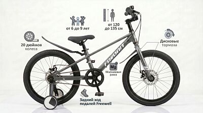 Детский велосипед Favorit TORNADO 20 Серый TOR-20GR