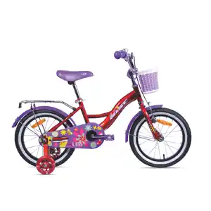 Детский велосипед Aist Lilo 18 (красный)