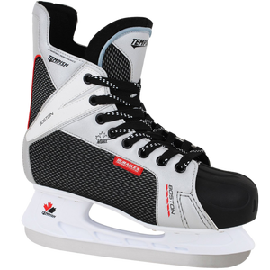 Коньки Tempish Boston р.36 (Silver) Коньки Tempish Boston р.36 (Silver)