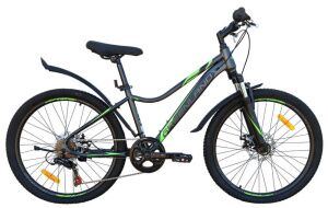 Велосипед GreenLand FORMULA 24 7S SUS (14, серый/зеленый)