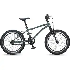 Детский велосипед Maxiscoo Stellar 18 2026 MSC-ST1851 (хаки)