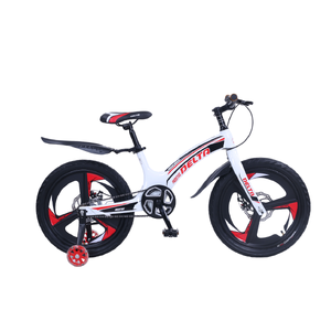 Детский велосипед DELTA Prestige Maxx D 20 (белый, литые диски)