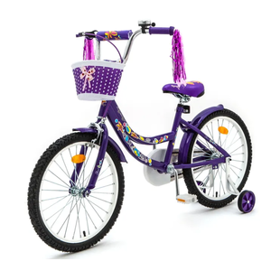 Детский велосипед Zigzag Foris 20 (фиолетовый, 2024) ZG-2026