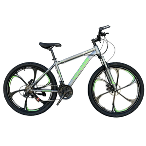Велосипед YOYODIS DIS-540 24 (серый/зеленый) Велосипед YOYODIS DIS-540 24 (серый/зеленый)