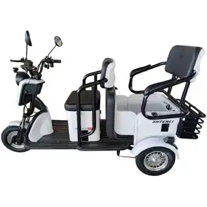 Электроскутер Shtenli Model 37 трехколесный 2в1 SLA (60v20A)