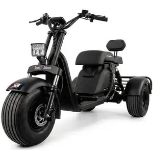 Электроскутер Smart Balance Mini Trike Sport (черный)