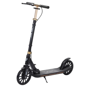 Двухколесный подростковый самокат Ricos Dart JSCT1 (черный)