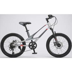 Детский велосипед Montasen MB12B-20SL серебристый