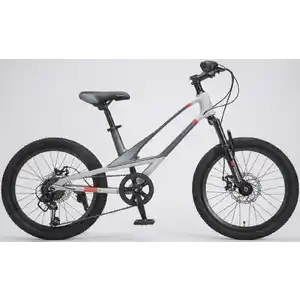 Детский велосипед Montasen MB12B-20SL серебристый
