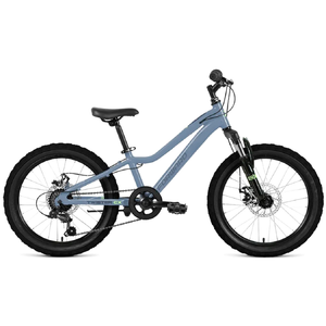 Детский велосипед Forward TWISTER CX 20 (10, светлый серо-голубой, 2026)