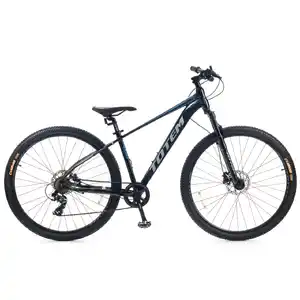 Велосипед Totem CRUISER-29HDA (16, черный) CRU29HD16BK-ALC