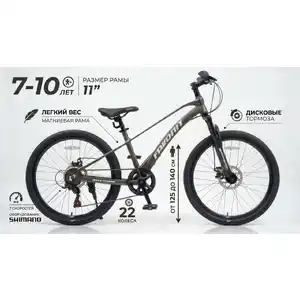 Велосипед Favorit ONYX 22 (11, серый)