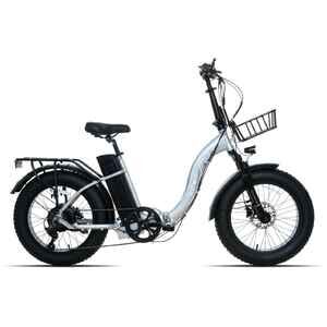 Электровелосипед Ritma Pony 20 (серебристый) Электровелосипед Ritma Pony 20 (серебристый)