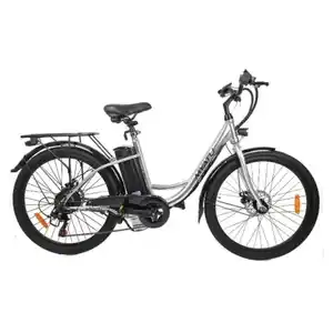 Электровелосипед Myatu Ancheer C0126 (серебристый)