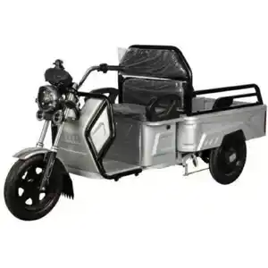 Электроскутер Shtenli Model 90 трехколесный SLA (60v20A)