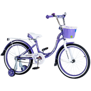 Детский велосипед Nameless Lady 20 (фиолетовый)
