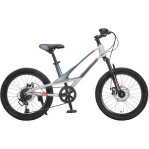 Детский велосипед Montasen MB12B (MB12B-20GR) серый