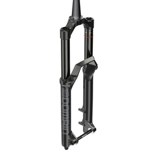 Вилка RockShox Domain R 29 180