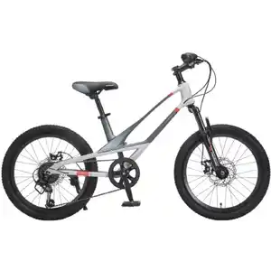 Велосипед Montasen MB12B (12, серый) MB12B-22GR
