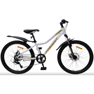 Велосипед Favorit VARDEN-24MDS, VRD24MD12WT