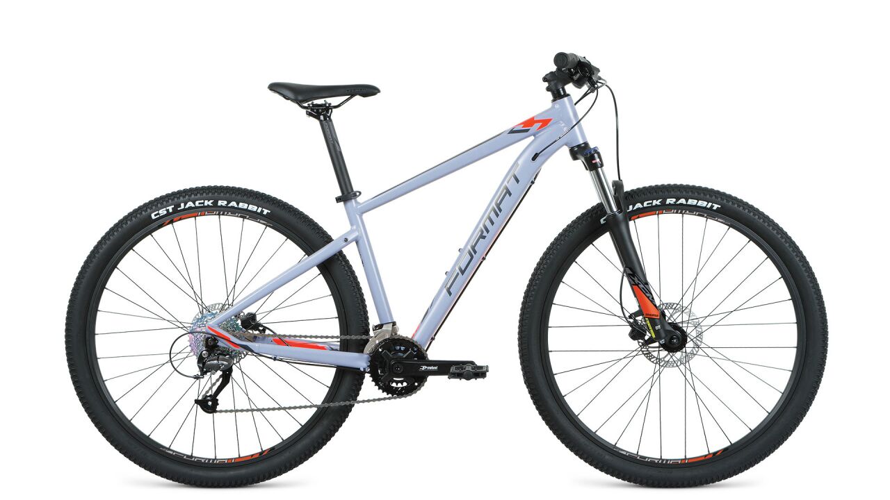 Велосипед Format 1413 29 L 2021 (серый)