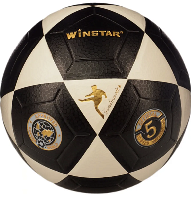 Футбольный мяч Winstar WN11001