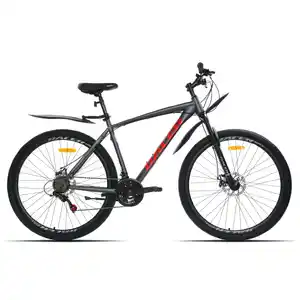 Велосипед Racer Boxfer 29 (20, графитовый матовый, 2026)