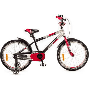 Детский велосипед Favorit Sport 20 (черный/красный) SPT-20RD2