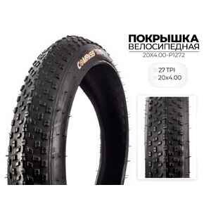 Велопокрышка Wanda P1272, 20x4.00 дюймов, 20X4.00-P1272