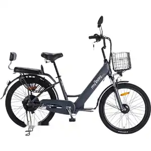 Электровелосипед MyWay Truck 500 24 (графит)