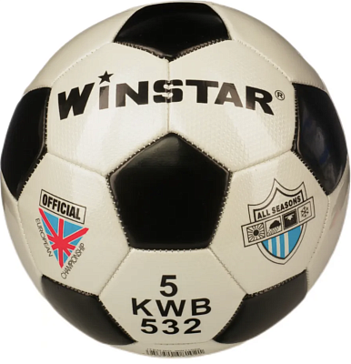 Футбольный мяч Winstar WN11009