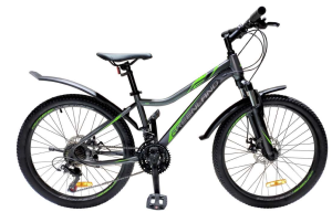 Велосипед GreenLand FORMULA 24 (12, серый/зеленый) Велосипед GreenLand FORMULA 24 (12, серый/зеленый)