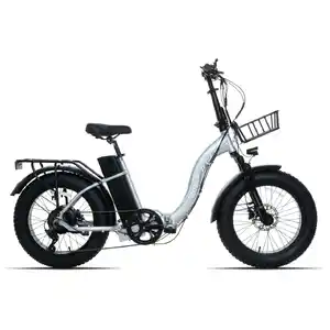 Электровелосипед Ritma Pony 20 (серебристый)
