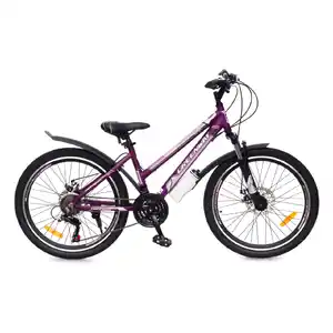 Велосипед Greenway Colibri-H 24 (14, фиолетовый/розовый)