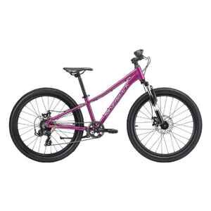 Велосипед Silverback Spyke G 24 D (gloss mulberry purple/gloss silver) Велосипед Silverback Spyke G 24 D (gloss mulberry purple/gloss silver)