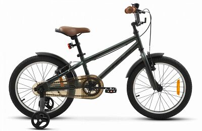 Детский велосипед Stels Arrow 18 (9, Темно-зеленый)