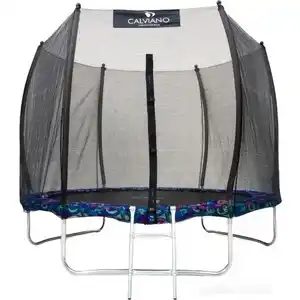Батут Calviano Outside Master Smile 252 см - 8ft (внешняя сетка, с лестницей)