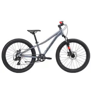 Велосипед Silverback SPYKE 24 D 1 BOY MATT XENON GREY