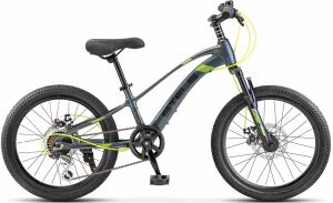 Детский велосипед Stels Leader 230 MD 20 Z010 (серый/черный)